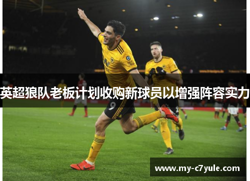 英超狼队老板计划收购新球员以增强阵容实力