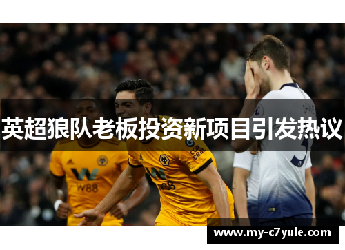 英超狼队老板投资新项目引发热议